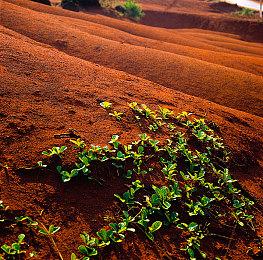 id software正为《毁灭战士：永恒》加入单人无限模式